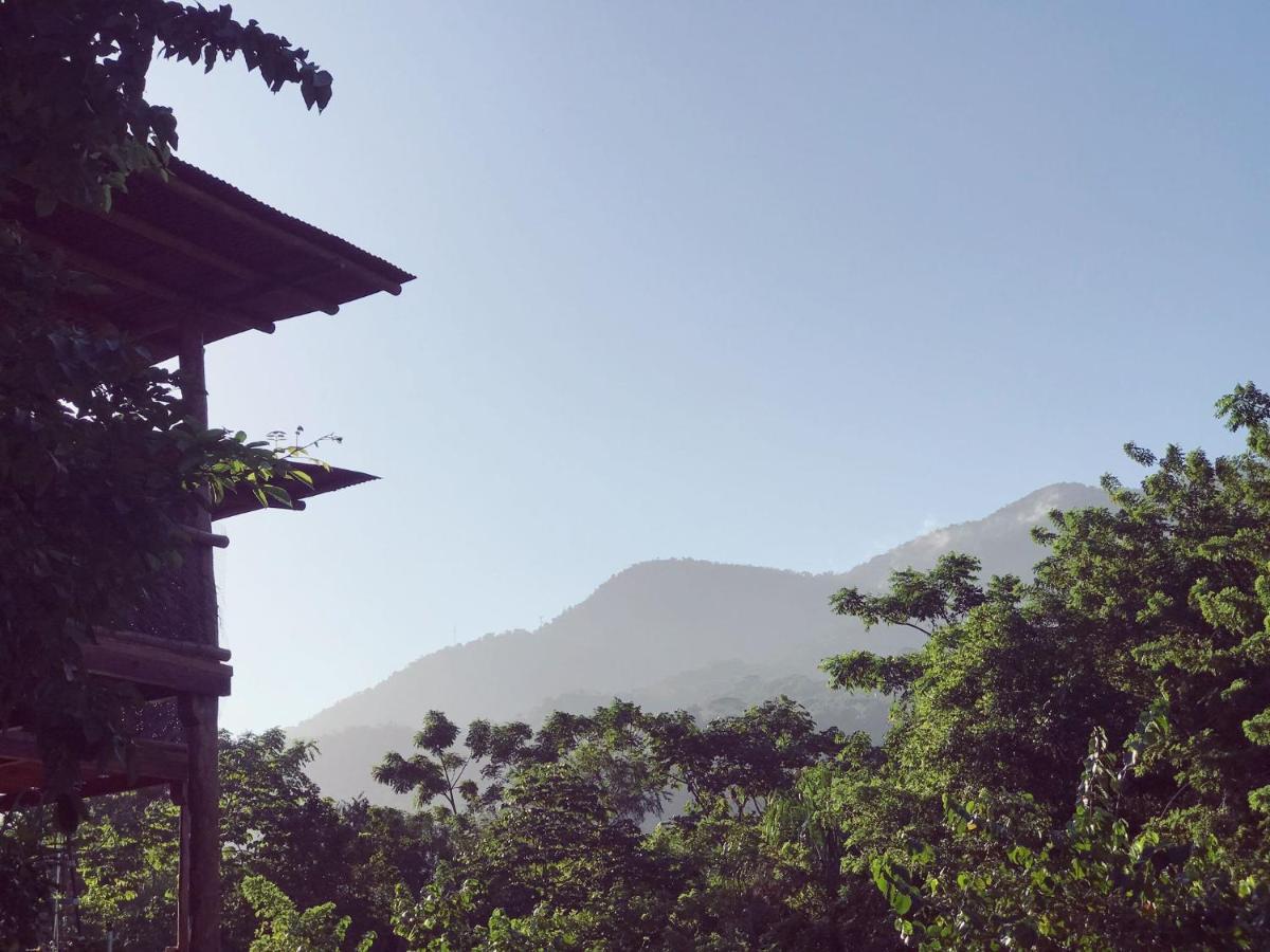 The Valley Tayrona Hostel- A Social Jungle HostZaino Exterior foto
