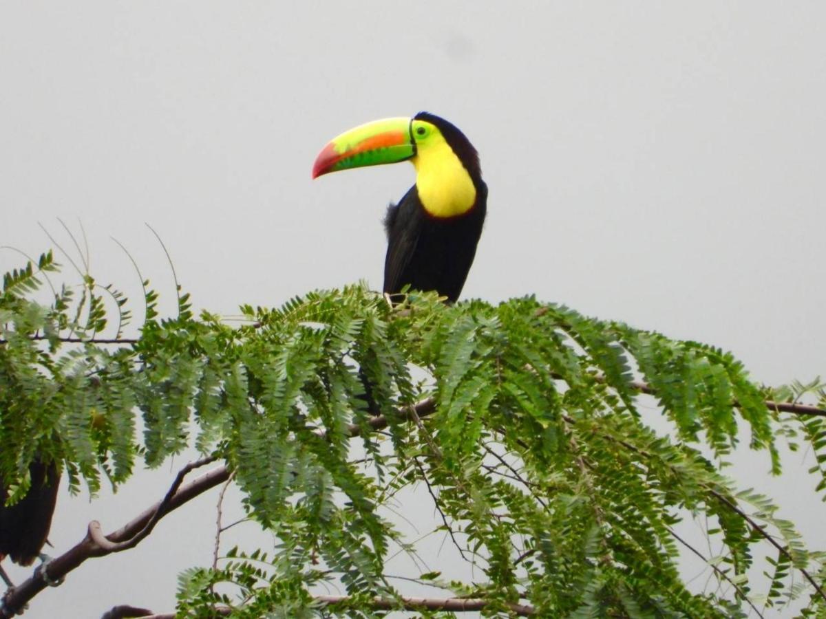 The Valley Tayrona Hostel- A Social Jungle HostZaino Exterior foto