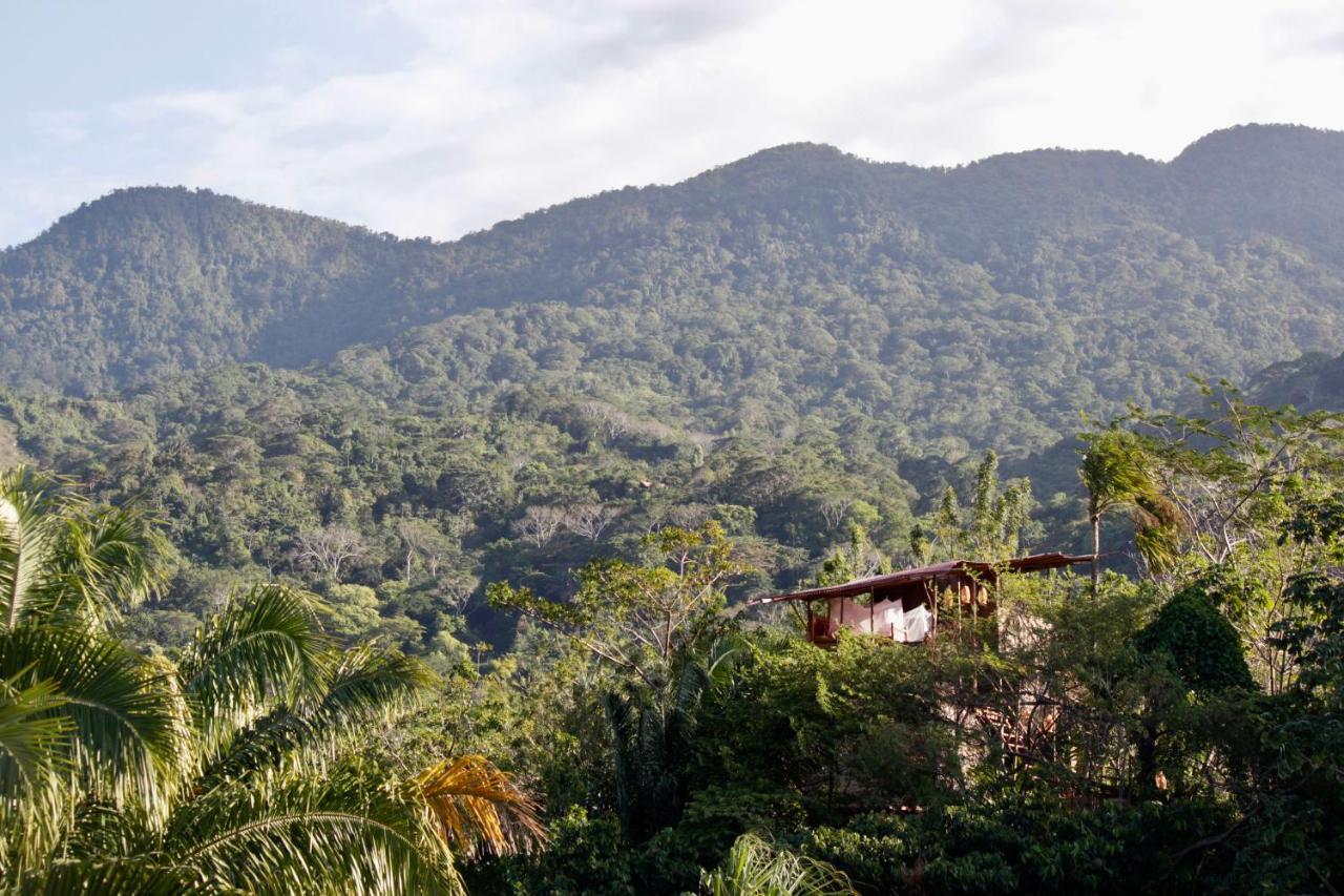 The Valley Tayrona Hostel- A Social Jungle HostZaino Exterior foto