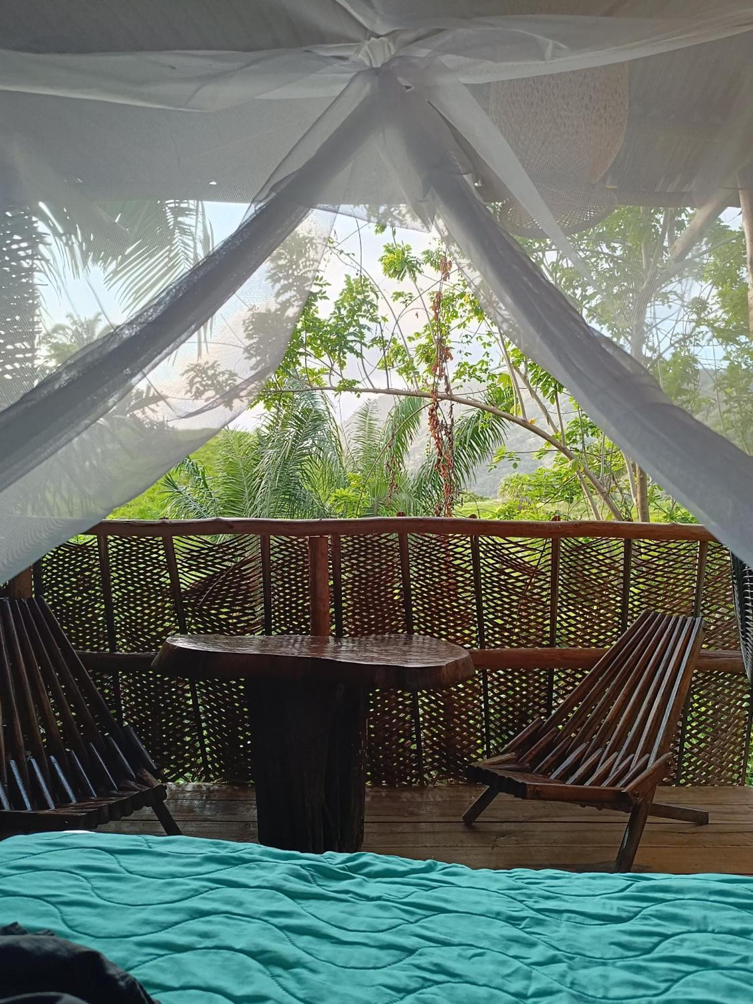 The Valley Tayrona Hostel- A Social Jungle HostZaino Exterior foto