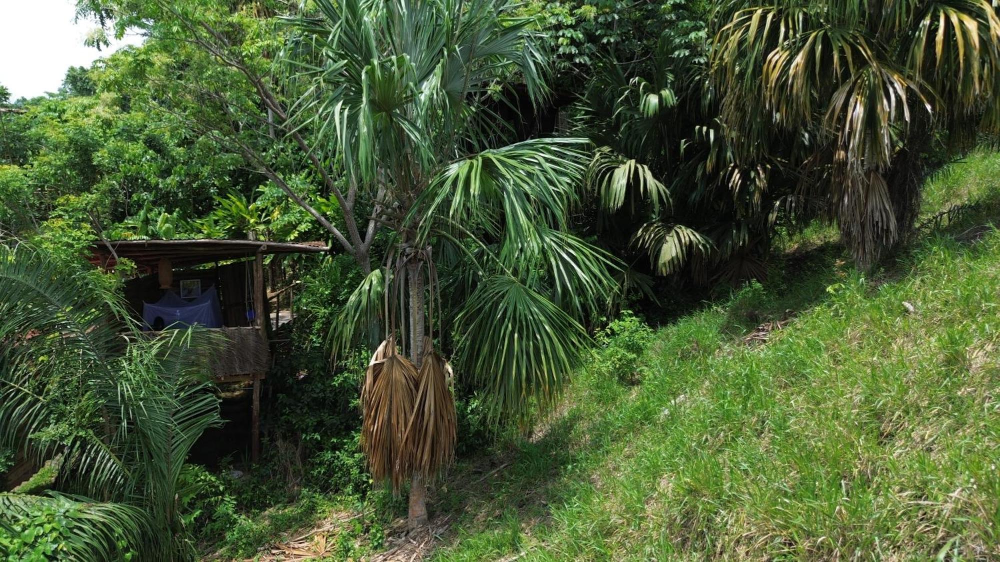 The Valley Tayrona Hostel- A Social Jungle HostZaino Exterior foto