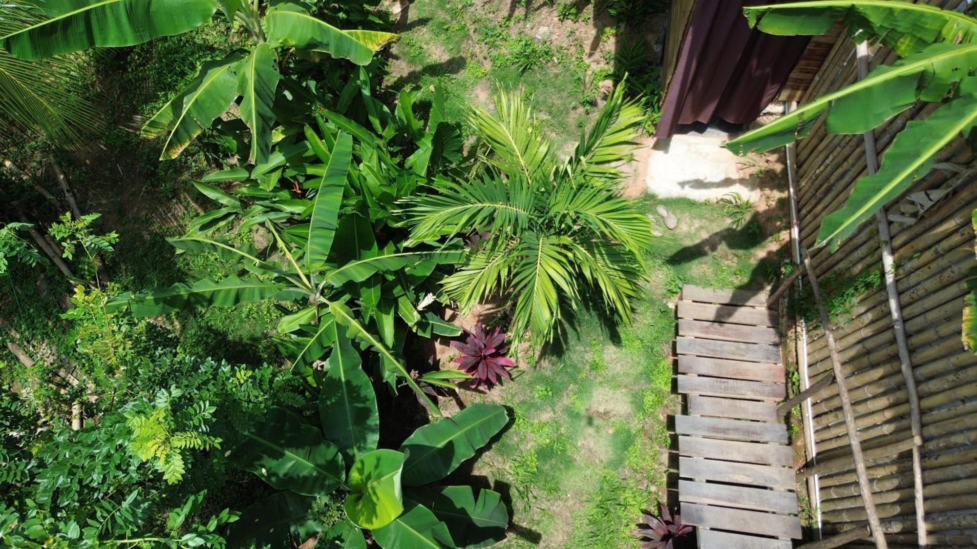 The Valley Tayrona Hostel- A Social Jungle HostZaino Exterior foto