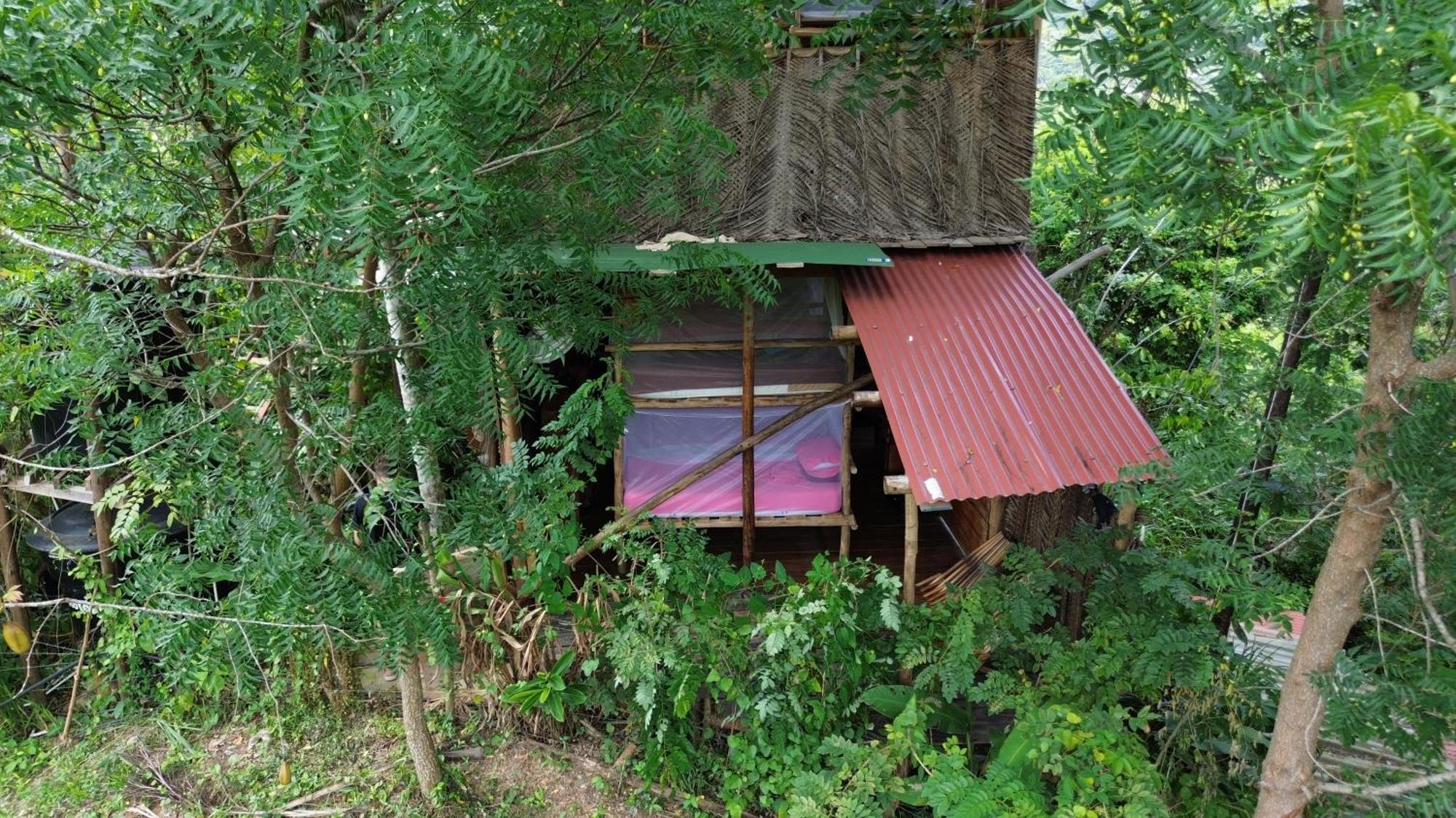 The Valley Tayrona Hostel- A Social Jungle HostZaino Exterior foto