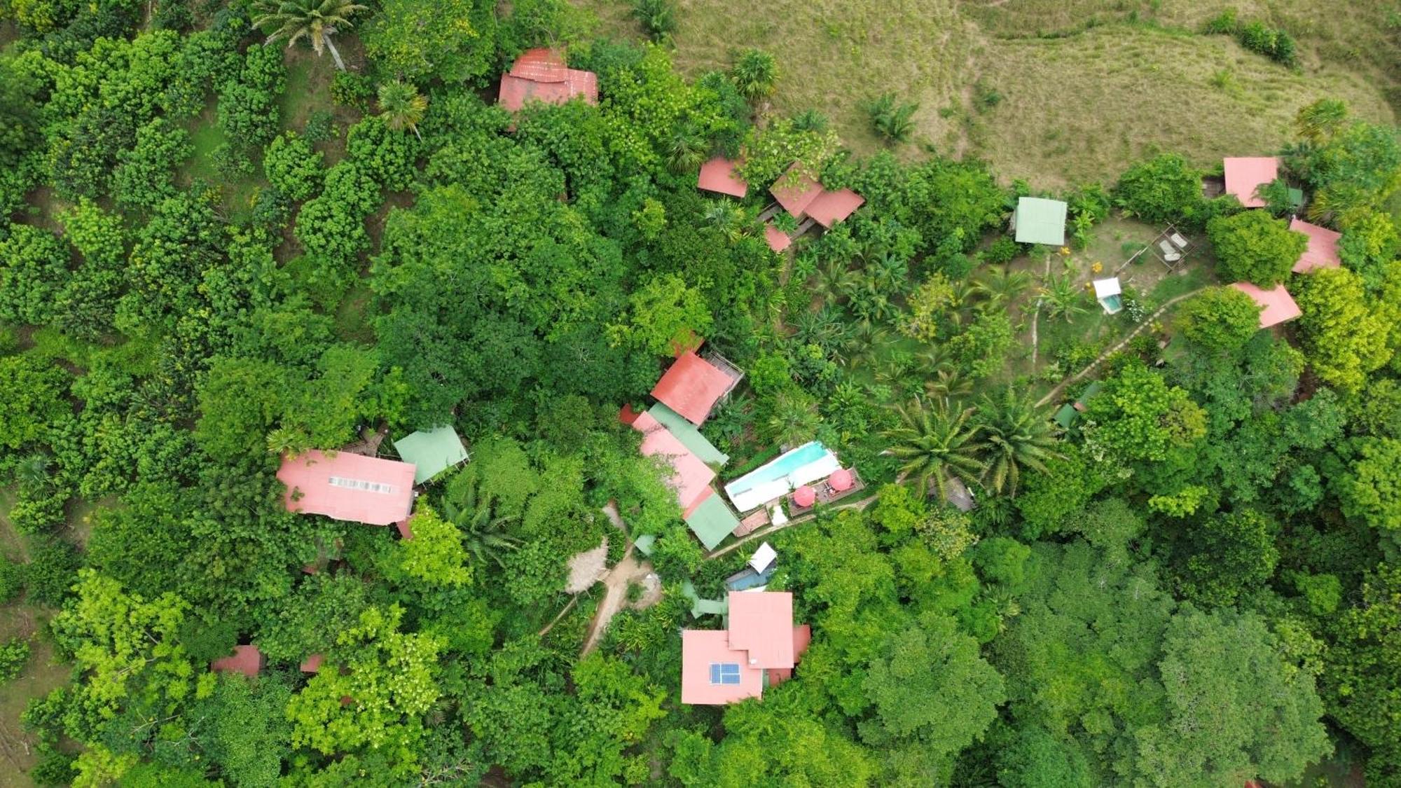 The Valley Tayrona Hostel- A Social Jungle HostZaino Exterior foto