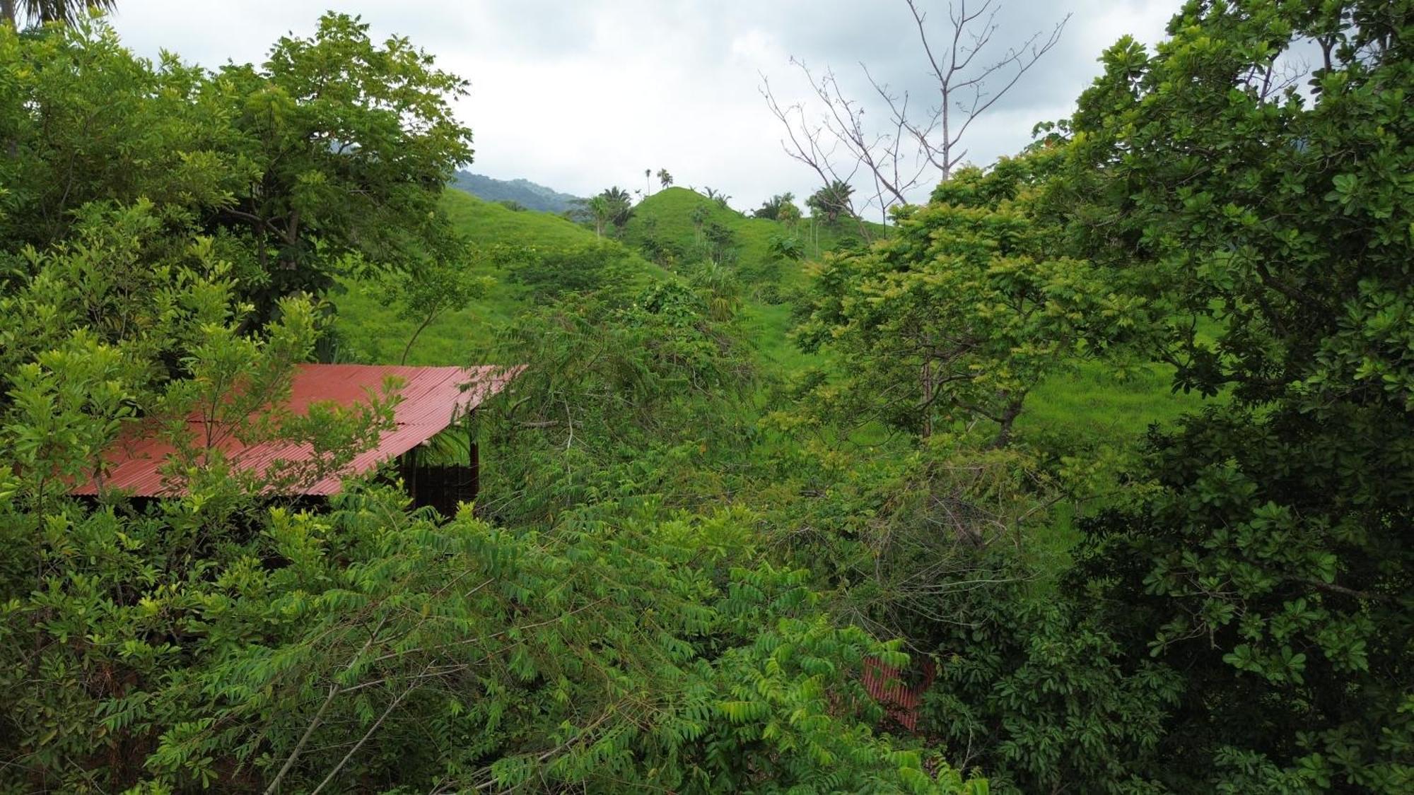 The Valley Tayrona Hostel- A Social Jungle HostZaino Exterior foto