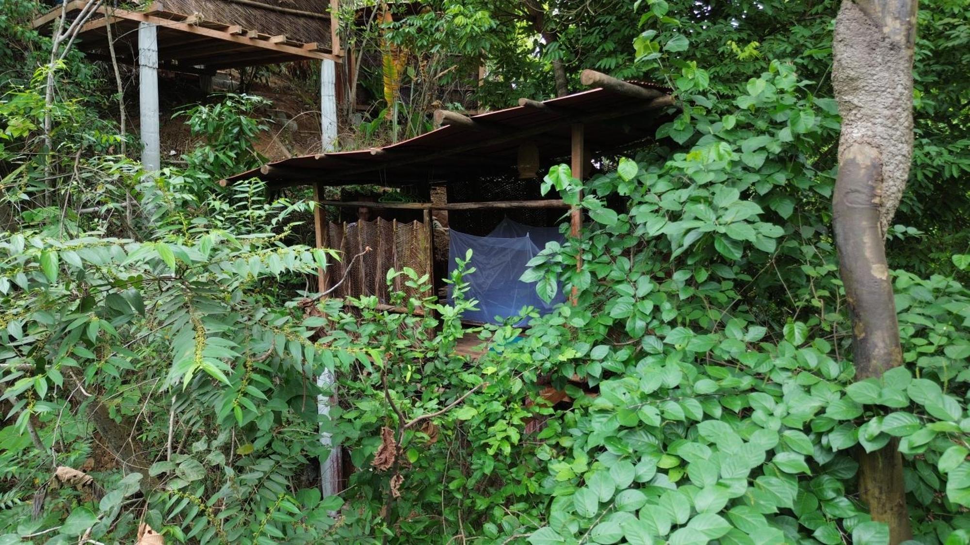 The Valley Tayrona Hostel- A Social Jungle HostZaino Exterior foto